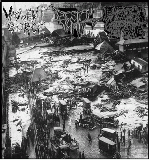 Violent Gorge : Tinnitus Aficionado